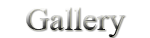 Image Gallery Page